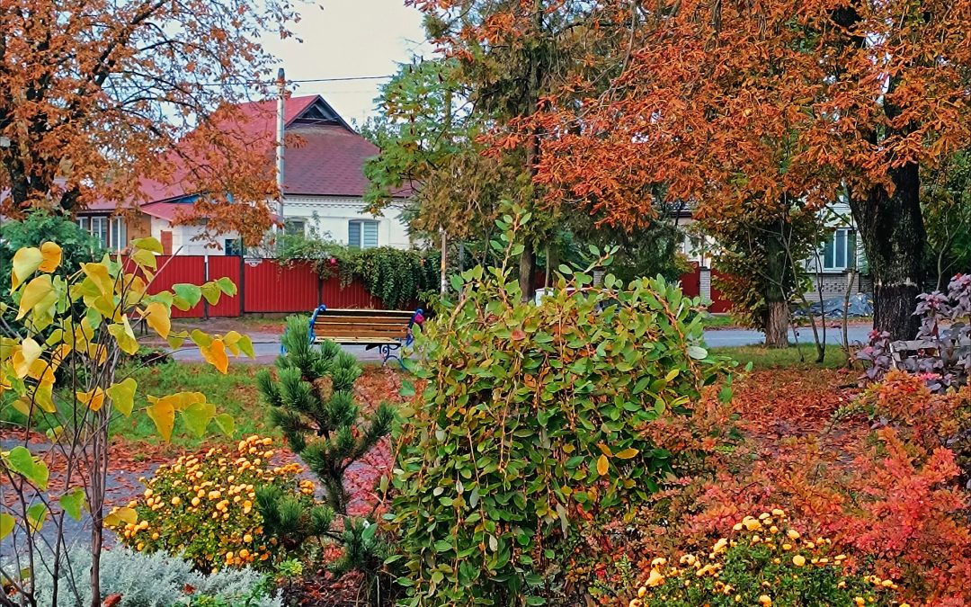 Село Витачів