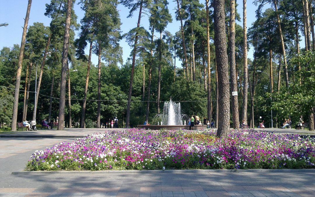 Парк партизанської слави