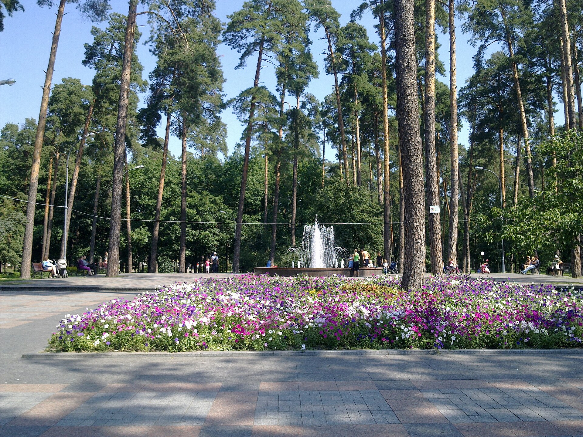 Парк партизанської слави