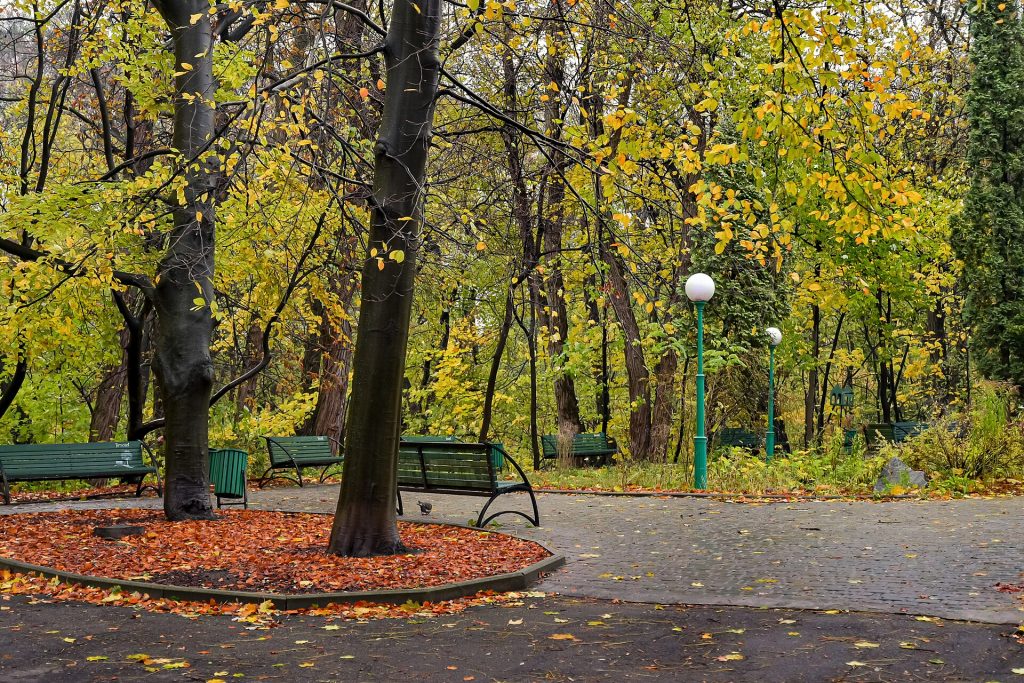 Ботанічний сад Фоміна
