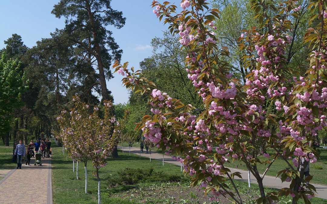 Парк Кіото